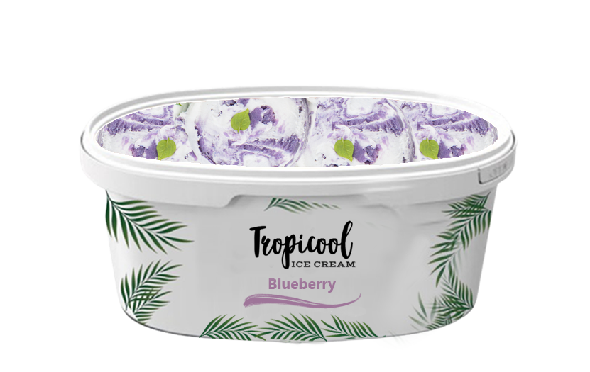 Blueberry 1000ml